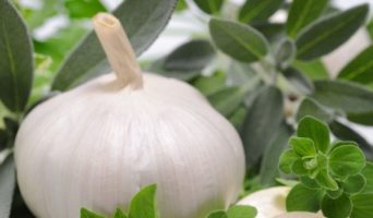 5 непопулярных полезных свойств чеснока