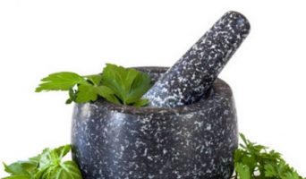 Ядовитый кустарник Бушмена