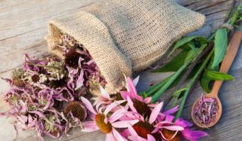 9 натуральных продуктов, укрепляющих наш иммунитет