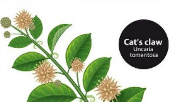 Кошачий коготь смертельно царапает грипп