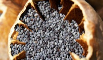Продукты из семян мака для плодородия